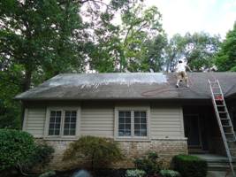 roof cleaning